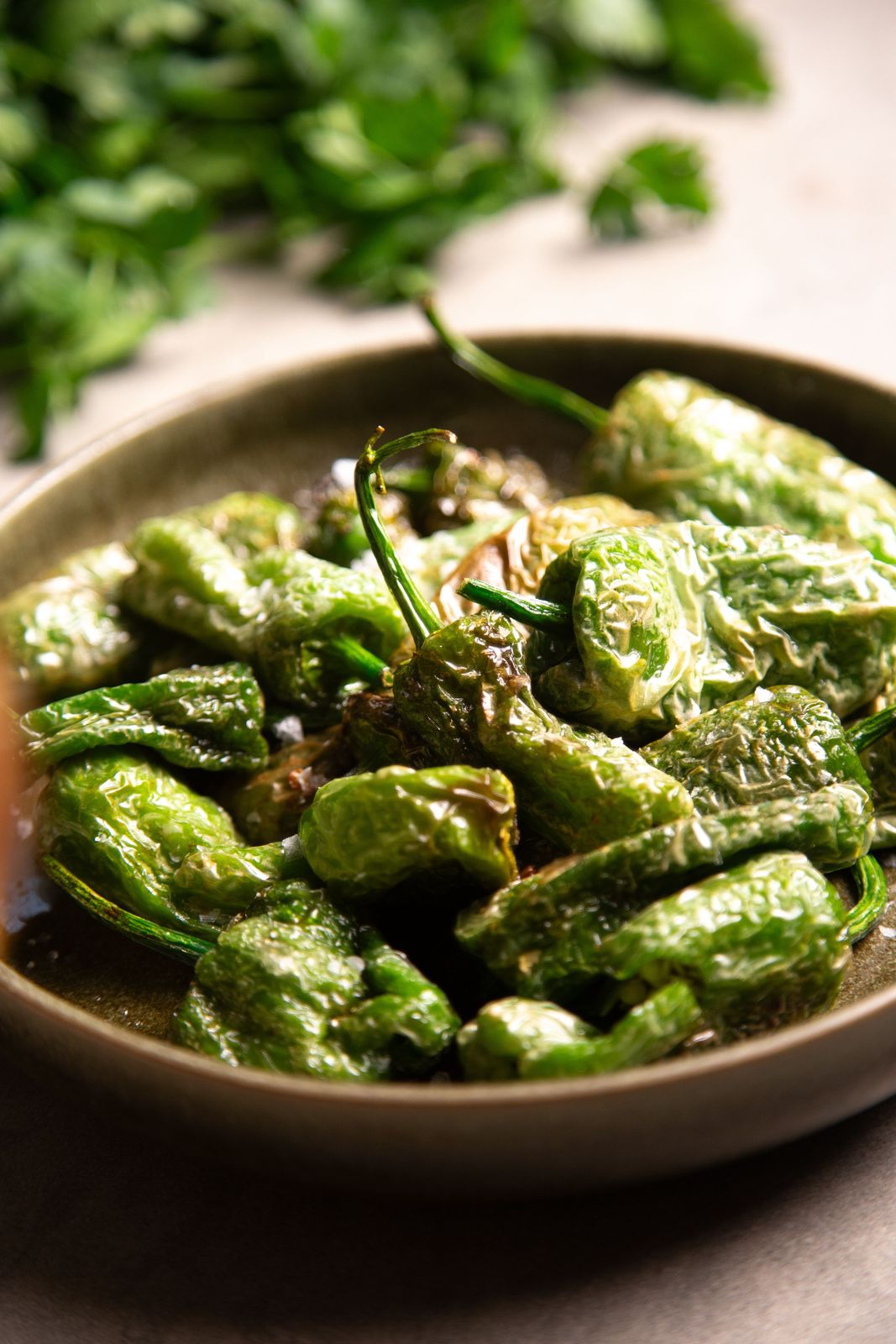 Blistered green Padron peppers finished with coarse salt on a plate